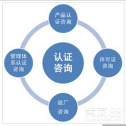 廣州信息技術咨詢服務行業(yè)現(xiàn)狀與發(fā)展趨勢