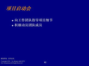 德勤管理咨詢 程序、技能與ERP100企業信息化知識門戶
